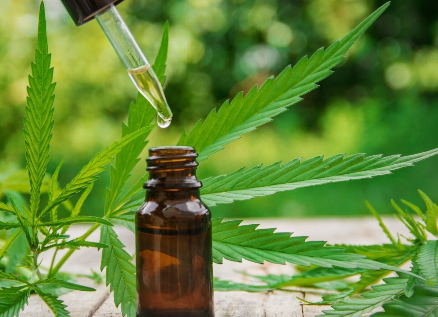 Olio CBD vendita online approvato uso estrattivo della canapa