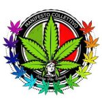 Vendita Cannabis light online