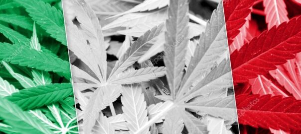 QUESTA FOTO RAPPRESENTA LA BANCIRA ITALIANA CON SFONDO FOGLIE DI CANNABIS