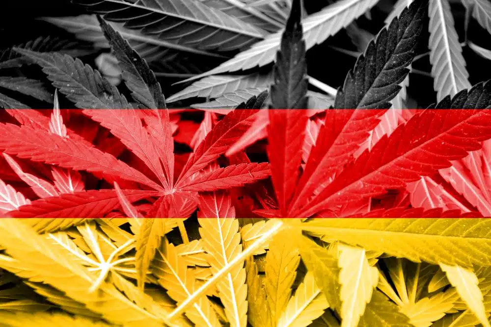 in questa immagine la bandiera della Germania con sfondo foglie di cannabis