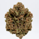 Infiorescenza CBD blue berry maryboom