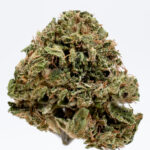 Infiorescenza CBD og kush maryboom