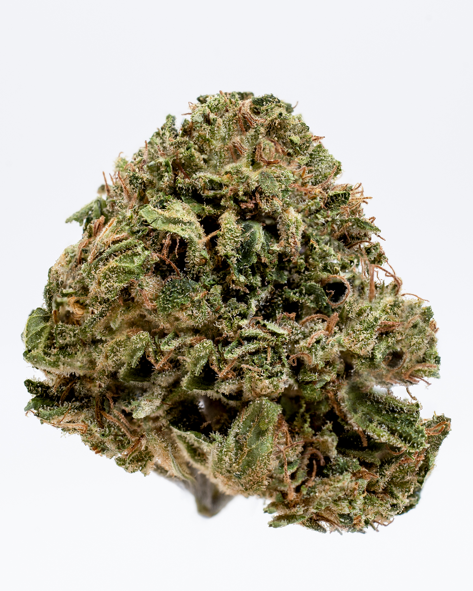 Infiorescenza CBD og kush maryboom